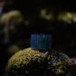Handmade Large Color Shift Diamondcast