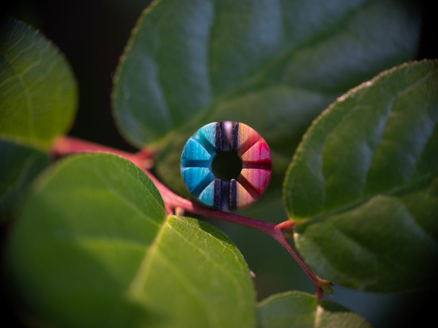 Large Custom G-carta Crown